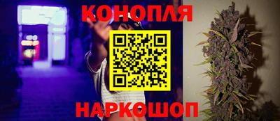 мдпв Бийск