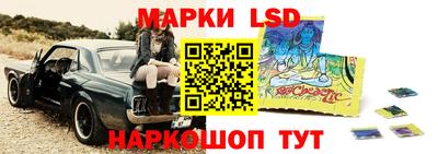 мдпв Бийск