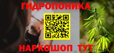 мдпв Бийск