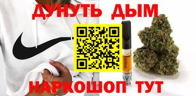 мдпв Бийск