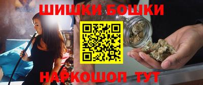 мдпв Бийск