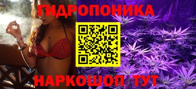 мдпв Бийск