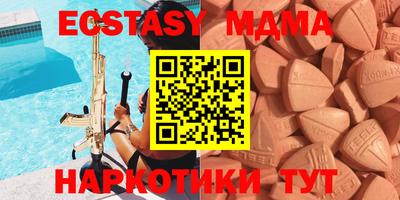 мдпв Бийск