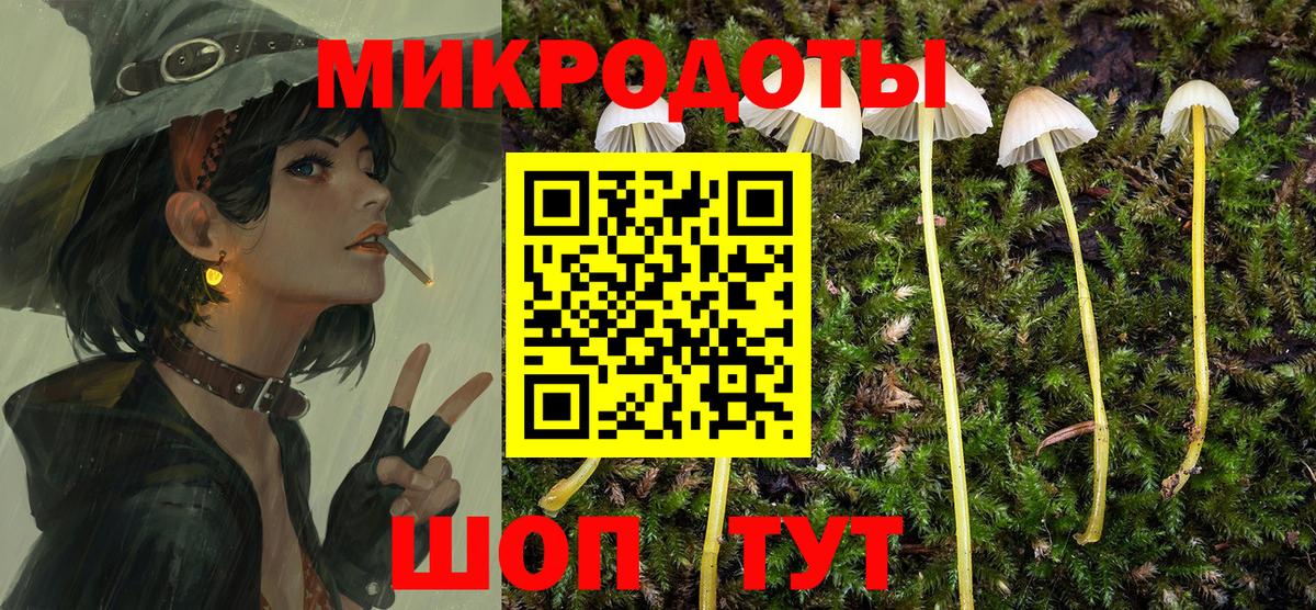 Галлюциногенные грибы прущие грибы  Вход с VPN  Жуковский  Псилоцибиновые грибы Psilocybine cubensis 