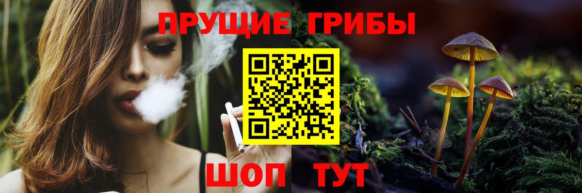 Псилоцибиновые грибы Cubensis Жуковский